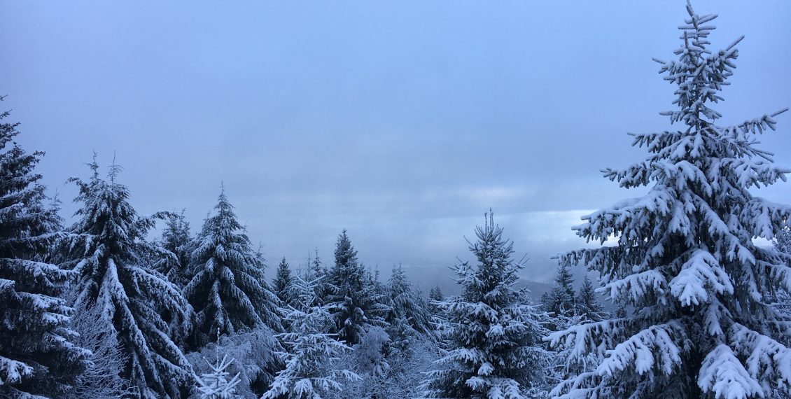 Schneelandschaft_Feldberg_Taunus